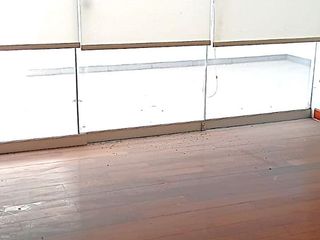 Foto 28 de VENDO DPTO DE ESTRENO EN SAN BORJA PRECIO DE OCASION NO PAGA ALCABALA