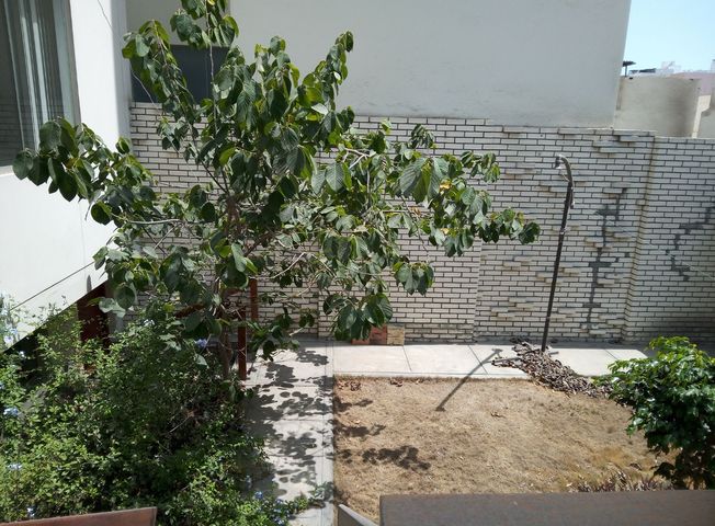 place photo 34