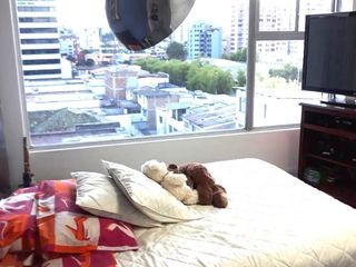 Foto 10 de RENTO DEPARTAMENTO AMOBLADO, Francisco de Orellana y Amazonas