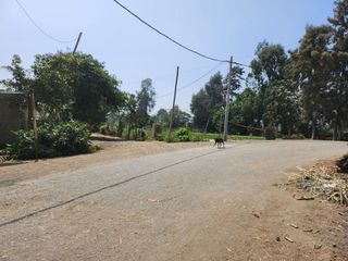 Foto 11 de Amplio Terreno En Sector La Campiña, Santa María, Huacho 🌄