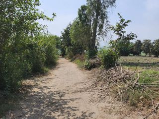 Foto 5 de Amplio Terreno En Sector La Campiña, Santa María, Huacho 🌄