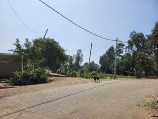 Foto 9 de Amplio Terreno En Sector La Campiña, Santa María, Huacho 🌄