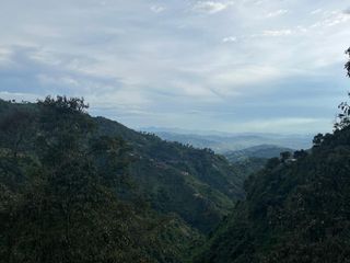 Foto 2 de ARRIENDO APARTAMENTO PATIO BONITO (QUIEBRA DE VELEZ) ZONA RURAL DE MANIZALES CON OPCION DE COMPRA