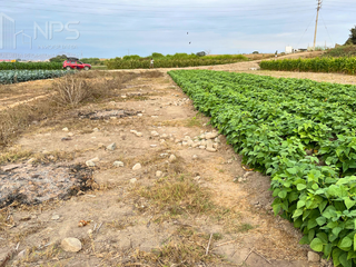 Foto 4 de VENDO TERRENO EN CARQUIN - HUACHO