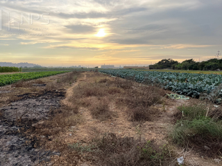 Foto 9 de VENDO TERRENO EN CARQUIN - HUACHO