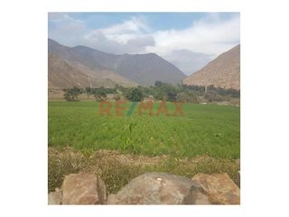 Foto 1 de 1134293 🌿✨ Se Vende Terreno Agrícola Y Turístico En Santa Rosa De Quives - Canta 🏡🌄