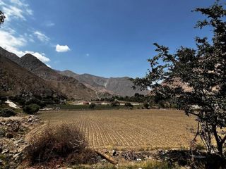 Foto 10 de 1134293 🌿✨ Se Vende Terreno Agrícola Y Turístico En Santa Rosa De Quives - Canta 🏡🌄