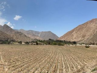 Foto 12 de 1134293 🌿✨ Se Vende Terreno Agrícola Y Turístico En Santa Rosa De Quives - Canta 🏡🌄