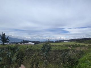 Foto 4 de FINCA PARA FLORICOLA EN TABACUNDO