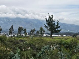 Foto 5 de FINCA PARA FLORICOLA EN TABACUNDO
