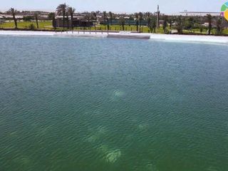 Foto 11 de TERRENOS DE CAMPO EN PARACAS