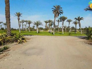 Foto 14 de TERRENOS DE CAMPO EN PARACAS