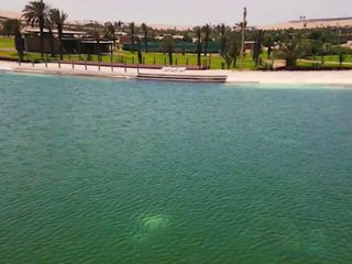 Foto 7 de TERRENOS DE CAMPO EN PARACAS