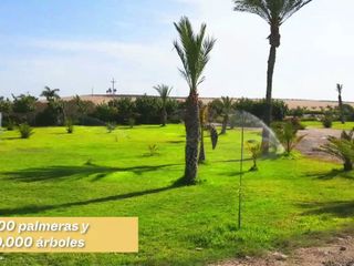 Foto 14 de TERRENOS DE CAMPO EN PARACAS