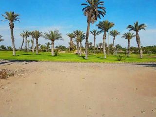 Foto 34 de TERRENOS DE CAMPO EN PARACAS