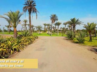 Foto 1 de TERRENOS DE CAMPO EN PARACAS