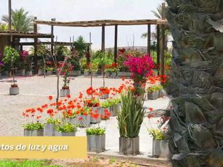 Foto 25 de TERRENOS DE CAMPO EN PARACAS