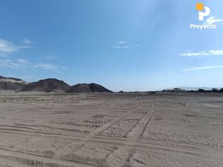 Foto 18 de TERRENOS DE CAMPO A 18 MINUTOS DEL CENTRO DE ICA