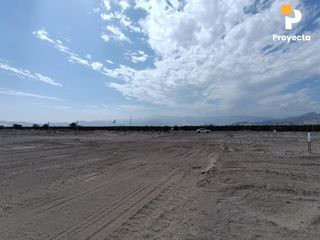 Foto 23 de TERRENOS DE CAMPO A 18 MINUTOS DEL CENTRO DE ICA