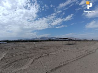 Foto 24 de TERRENOS DE CAMPO A 18 MINUTOS DEL CENTRO DE ICA