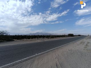 Foto 32 de TERRENOS DE CAMPO A 18 MINUTOS DEL CENTRO DE ICA