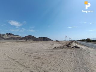 Foto 51 de TERRENOS DE CAMPO A 18 MINUTOS DEL CENTRO DE ICA
