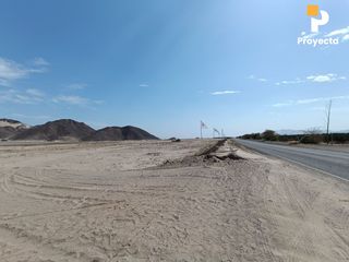 Foto 108 de TERRENOS DE CAMPO A 18 MINUTOS DEL CENTRO DE ICA