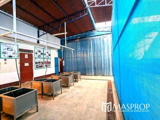 Foto 3 de EN ALQUILER 🏭 PLANTA DE PROCESAMIENTO PARA EXPORTACION AGRICOLA 🌱, Propiedad Industrial y Vivienda, TACNA
