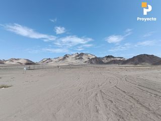 Foto 3 de TERRENOS DE CAMPO A 18 MINUTOS DEL CENTRO DE ICA