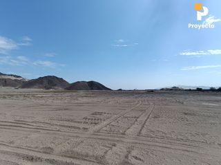 Foto 19 de TERRENOS DE CAMPO A 18 MINUTOS DEL CENTRO DE ICA