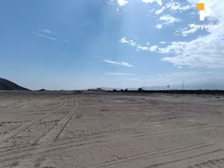 Foto 20 de TERRENOS DE CAMPO A 18 MINUTOS DEL CENTRO DE ICA