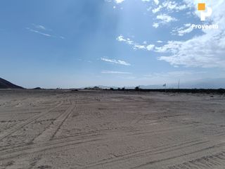 Foto 21 de TERRENOS DE CAMPO A 18 MINUTOS DEL CENTRO DE ICA