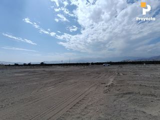 Foto 22 de TERRENOS DE CAMPO A 18 MINUTOS DEL CENTRO DE ICA