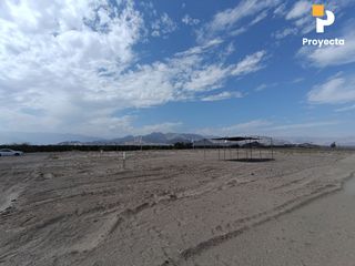 Foto 25 de TERRENOS DE CAMPO A 18 MINUTOS DEL CENTRO DE ICA
