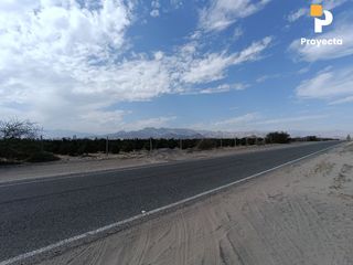 Foto 31 de TERRENOS DE CAMPO A 18 MINUTOS DEL CENTRO DE ICA