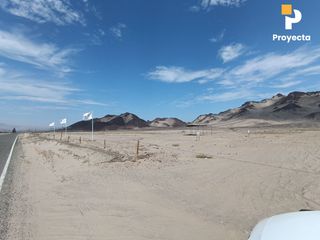 Foto 42 de TERRENOS DE CAMPO A 18 MINUTOS DEL CENTRO DE ICA