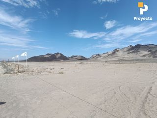 Foto 46 de TERRENOS DE CAMPO A 18 MINUTOS DEL CENTRO DE ICA