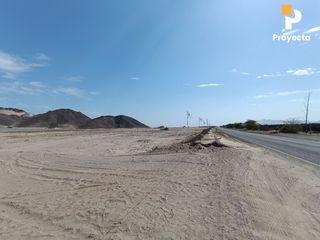 Foto 50 de TERRENOS DE CAMPO A 18 MINUTOS DEL CENTRO DE ICA