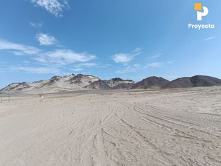 Foto 52 de TERRENOS DE CAMPO A 18 MINUTOS DEL CENTRO DE ICA