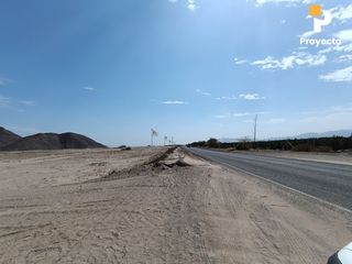 Foto 53 de TERRENOS DE CAMPO A 18 MINUTOS DEL CENTRO DE ICA