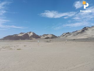 Foto 59 de TERRENOS DE CAMPO A 18 MINUTOS DEL CENTRO DE ICA
