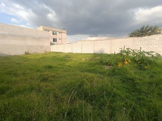 Foto 3 de Terreno en Renta - San Pedro de Taboada