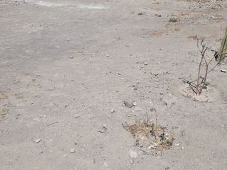 Foto 2 de Vendo terreno urbano en urb. privada de cayma $ 195,000