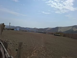 Foto 13 de OCASION VENDO TERRENO INDUSTRIAL AV. CENTRAL $ 69m2 PARQUE PORCINO ZONA I VENTANILLA.