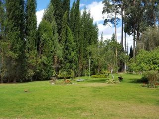 Foto 3 de Propiedad en venta. Challuabamba Pan. Norte. amplia área verde. Fácil acceso
