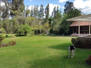 Foto 2 de Propiedad en venta. Challuabamba Pan. Norte. amplia área verde. Fácil acceso