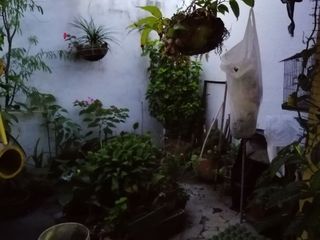 Foto 12 de VENTA CASA