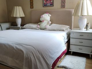 Foto 13 de 