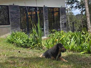 Foto 4 de Venta Casa   Campestre de Lujo en el Bosque,  Para Estrenar, Excelente Ubicación, doble proposito:residencial y/o comercial.