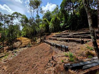 Foto 6 de Venta Casa   Campestre de Lujo en el Bosque,  Para Estrenar, Excelente Ubicación, doble proposito:residencial y/o comercial.